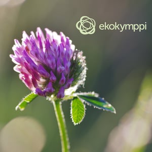 Ekokymppi - joustava ja skaalautuva asiakaspalvelu